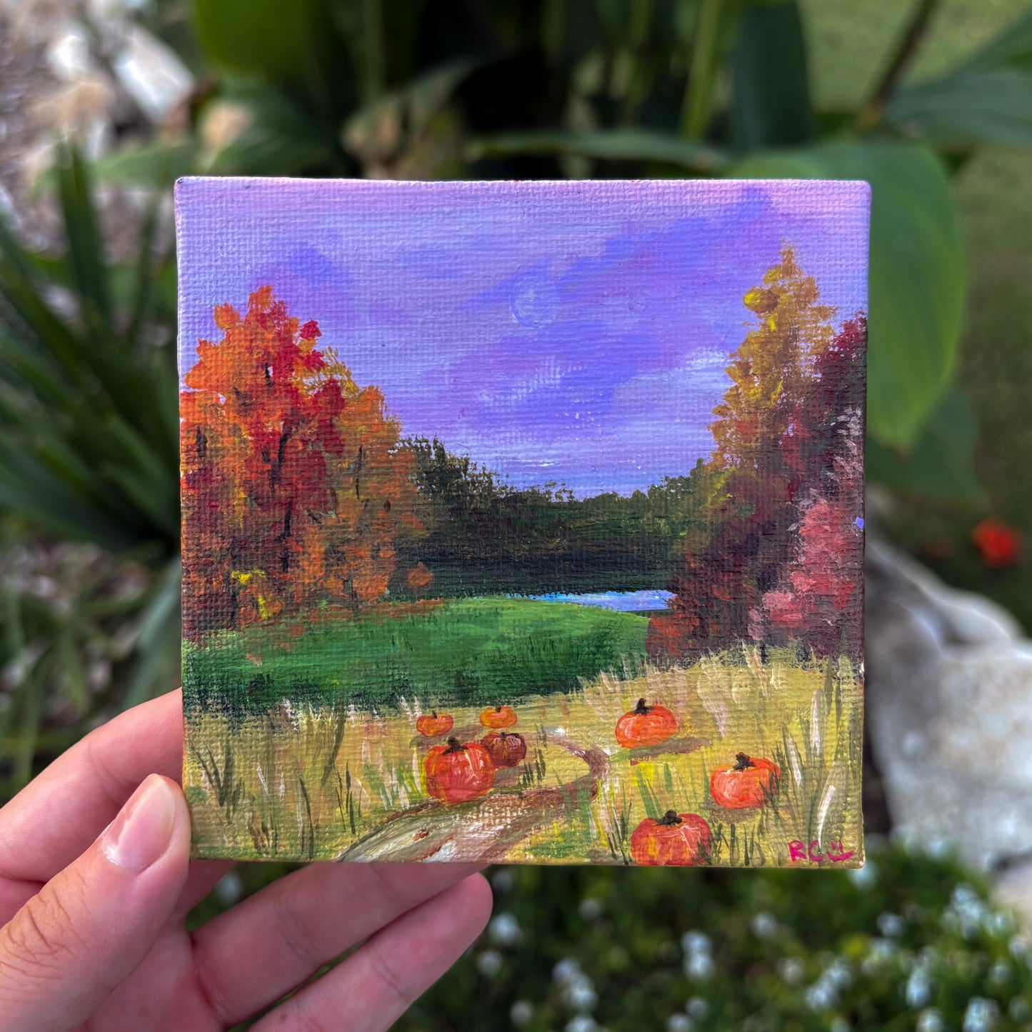Pumpkin Skies, 4x4 Inch Original Painting