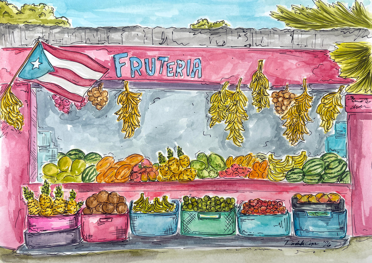 Full Puerto Rico Print Collection