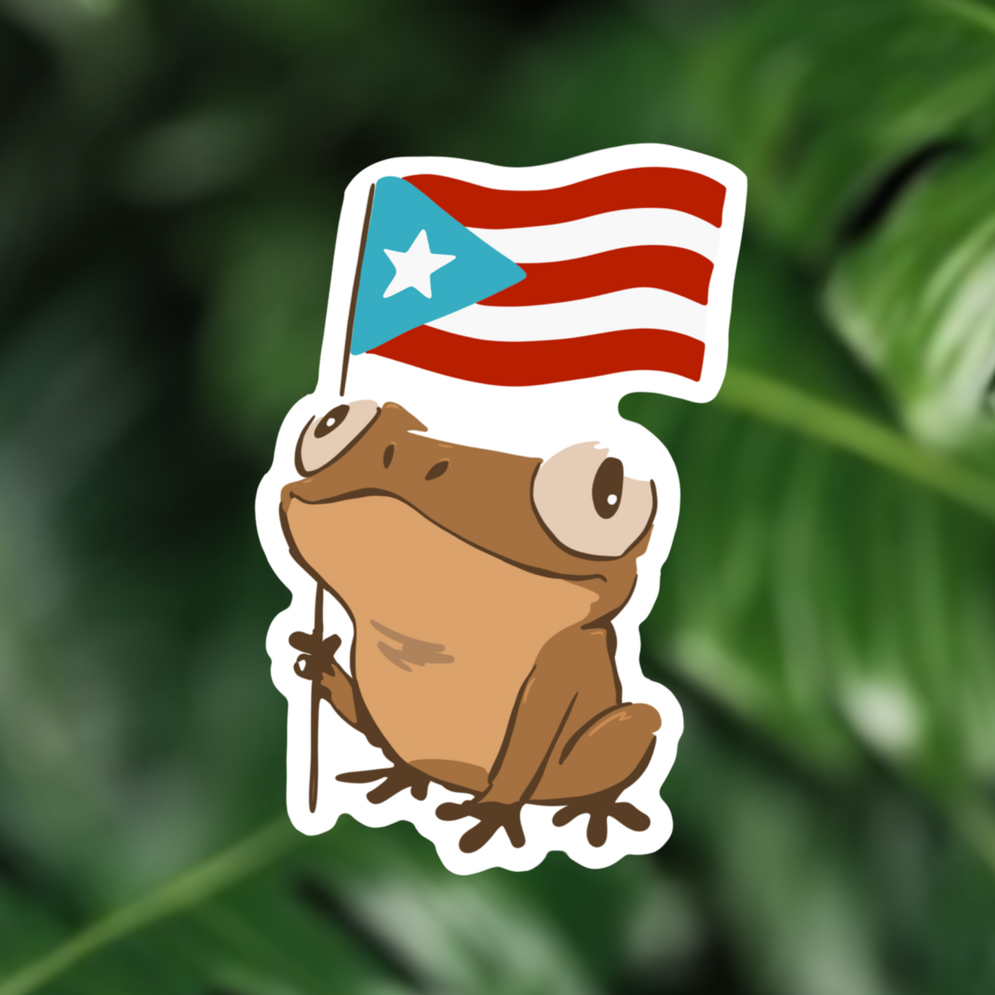 Full Puerto Rico Print Collection